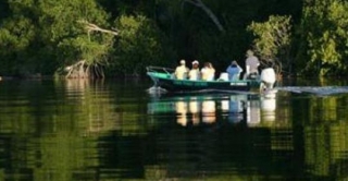  Bootsfahrt durch Mangroven 